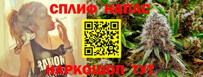 прущие грибы Абинск