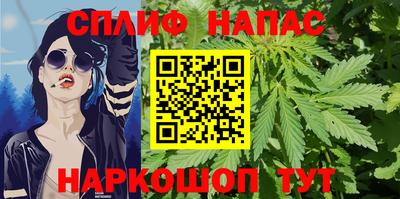 прущие грибы Абинск